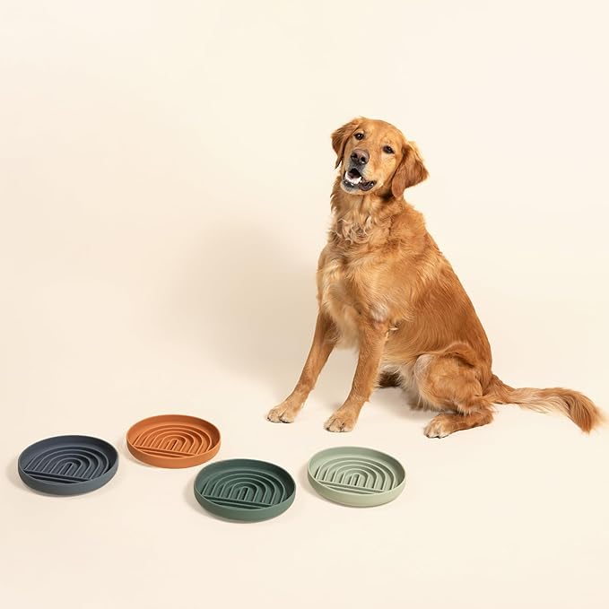 The Slowdown Bowl Silicone Slow Feeder for Dogs & Puppies, Slow Eating, Modern Lick Mat Design, Reduces Gulping, Fits 2.5 Cups 9.5” Across x 1.5” Tall, Mealtime Challenge, Large-Spruce