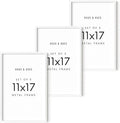 HAUS AND HUES 11x17 White Metal Picture Frames - Features Premium Aluminum, Vertical & Horizontal Hang, Shatterproof Plexiglass - Perfect for Home, Room, Office (11x17 in, White, Set of 3)