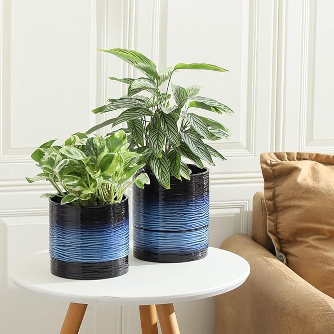 Nihow Ceramic Plant Pot: 6 Inch Planter with Drainage Hole & Saucer for Indoor & Outdoor Plants - Cylinder Round Flower Pot for Succulent/Herbs/Violets - Black & Vivid Blue