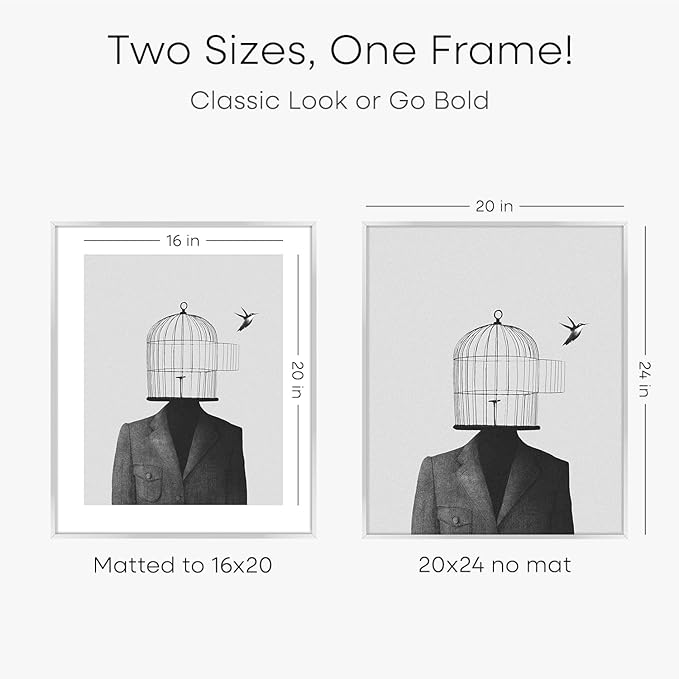 Homeforia 20x24 Picture Silver Frame, High End Metal 20 x 24 Poster Frames with Mat 16 by 20 for Photo, 20x24 Silver Frame Matted to 16x20 Art, 24x20 Hanging Frames, Tempered Glass, Wall Kit, Set of 1