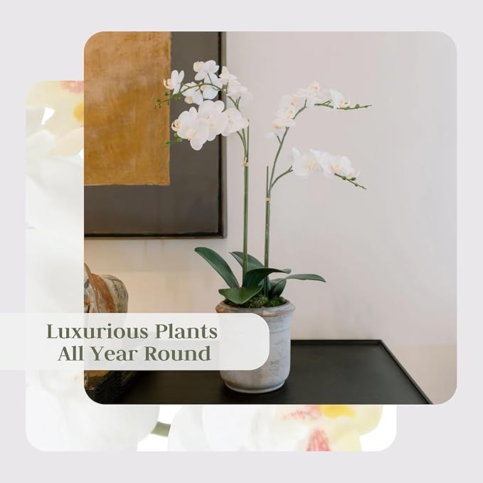 Faux White Orchid Plant, Premium Artificial Indoor Flower Display Stands 24”, Beautiful Sculptural Blooms That Lasts Forever, Grey Planter Pot Included