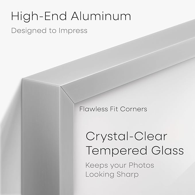 Homeforia Poster Silver Frame 24x36, High End Metal 24 x 36 Large Picture Frame with Mat 20 x 30 Photo, 24x36 Silver Frames Matted to 20x30 Print, 36x24 Thin Frames, Tempered Glass, Wall Kit, Set of 1