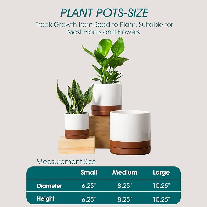 vancasso Ceramic Pots for Plants, Plant Pots for Indoor Plants, 6.25+8.25+10.25 Inch Ceramic Planters, Flower Pots with Drainage Holes, Planters Pot for Indoor House Plant, Set of 3, Khaki