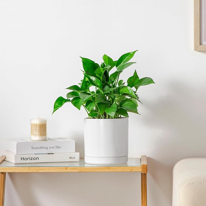 vancasso Ceramic Plant Pots, 6.25 Inch Ceramic Pot for Plants, Planters Pots for Indoor Plants with Drainage Holes, Flower Pot for Indoor House Plant, White