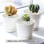 2LB Succulent and Cactus Gravel Pebbles, 1/5 Inch White Natural Decorative Polished Stones, River Rocks for Plants, Vases, Aquariums, Terrarium and Outdoor Gardening,White