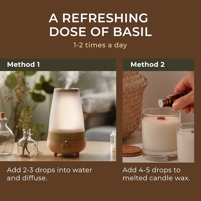 Gya Labs Holy Basil (Tulsi) Essential Oil - 0.34 Fl Oz - 100% Pure Natural Holy Basil Oil for Diffuser & Candle Making Scent