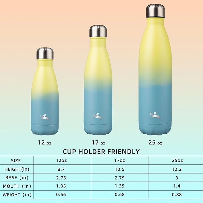 Insulated Water Bottles,17 oz Double Wall Stainless Steel Vacumm Metal Flask for Sports Travel,Sandy Beach