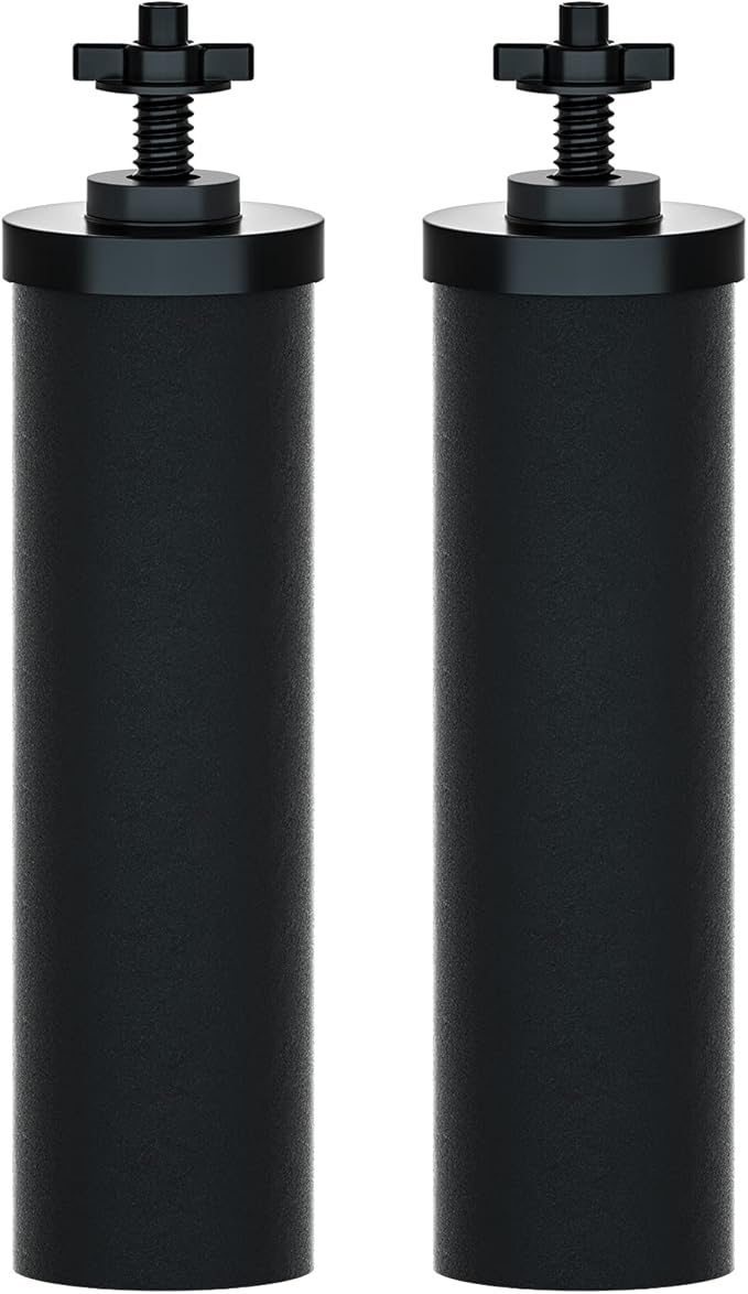 Purewell PF-2 Black 2-Stage Purification Elements, Replacement Filters for ProOne® and Berkey® Filters, ProOne® Big+ or Berkey® Big+ Gravity Water Filter System and Purewell System (2 Pack, K Series)