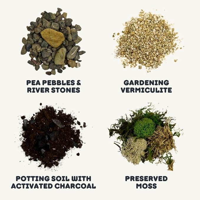 Cute Farms Terrarium Starter Kit | Moss, Vermiculite, Soil, Pebbles, Plant Food, Finishing Tools, Build and Care Guide | DIY Succulent Terrarium for Adults and Kids (Medium)