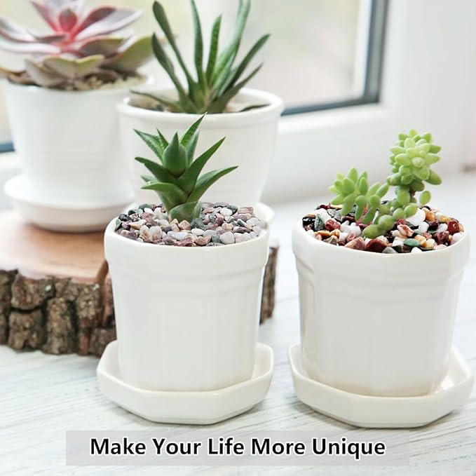 5LB Succulent and Cactus Gravel Pebbles, 1/5 Inch Natural Decorative Polished Stones, River Rocks for Vases Gardening Indoor and Outdoor Decorative Rocks, Colorful