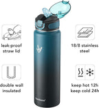 Enerbone 32 oz Insulated Water Bottle, Stainless Steel Bottle with Carrying Strap, Double-Wall Vacuum Insulation Design, Leakproof Sports Bottle with Straw, Keep Drinks Cold or Hot for Hours