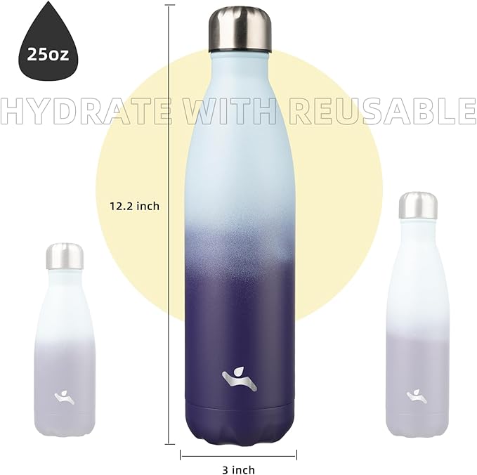 Insulated Water Bottles,25 oz Double Wall Stainless Steel Vacumm Metal Flask for Sports Travel,Ocean Dream