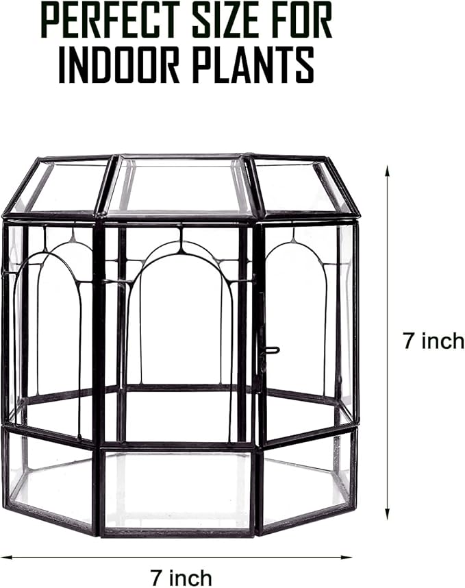 Large Glass Terrarium Handmade, Centerpiece Display Box Gift Planter Containers Indoor Terrariums House for Succulent Cacti Air Plants Miniature Fairy Garden