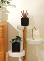 TAMAYKIM 4 Inch Small Cylinder Ceramic Plant Pots with Drainage Holes, Modern Indoor Planters with Tray for Aloe, Succulent, Snake Plants, Cactus & Herbs, Black, Set of 4