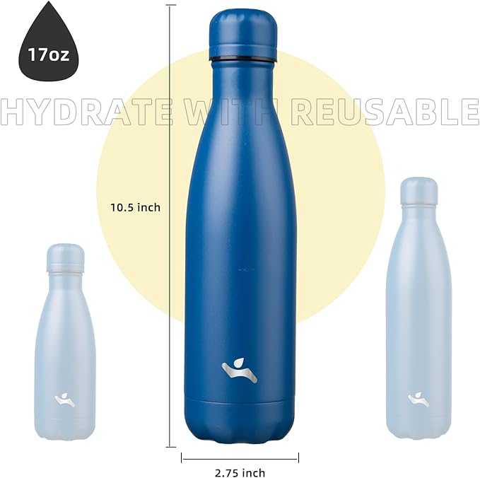 Insulated Water Bottles,17 oz Double Wall Stainless Steel Vacumm Metal Flask for Sports Travel,Blue