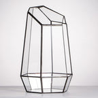 NCYP Geometric Glass Terrarium Planter for Succulent, Small Cacti, Black Irregular Opened Container Pot, Indoor Home Garden Office Tabletop Decor, 6.5" x 5.7" x 9.8" (No Plants, No Door)