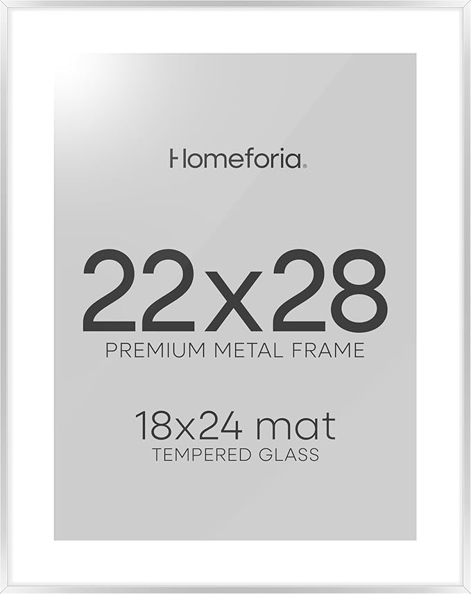 Homeforia Silver 22x28 Picture Frame, Rectangular Metal Poster Frame with Mat, 22 x 28 Frame Matted to 18 x 24 Photo, Wall Mount, Minimalist Style, Tempered Glass, Wall Hook Included