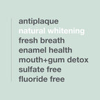 Davids Charcoal Toothpaste for Enhanced Teeth Whitening, Peppermint, Antiplaque, Flouride Free, SLS Free, Enamel Safe, Recyclable Metal Tube, 5.25oz