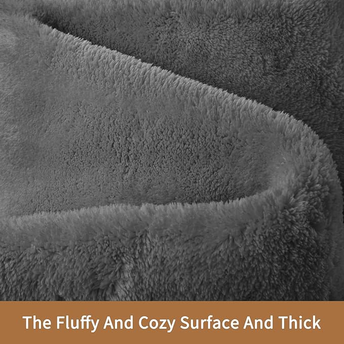 Sour Lemon 6x9 Area Rugs for Living Room, Soft Large Area Rug Fluffy Rugs for Bedroom，Machine Washable Area Rug Non Slip Carpet Rug for Living Room Playroom Kids Room Home Decor