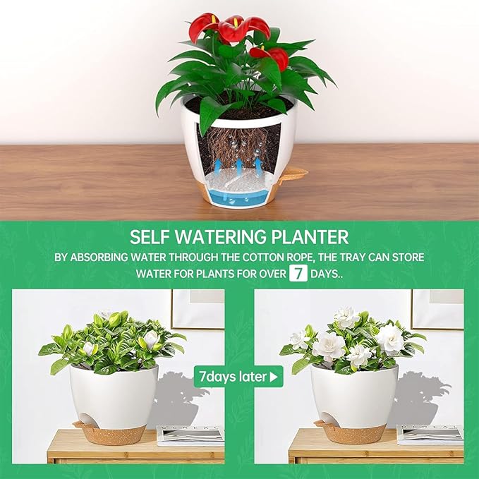 ZMTECH 10 Inch Hanging Planters for Indoor Outdoor Plants, 2 Pack Self Watering Hanging Plant Pots with Drainage Holes and Removable Saucer, Plastic Flower Hanging Pots with Watering Lip (White)