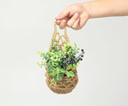 3PK Wall Planters for Indoor Plants, Macrame Plant Hanger | Wall Planter, Plant Hanger, Hanging Planter (3PK, for 4 inch Pot)