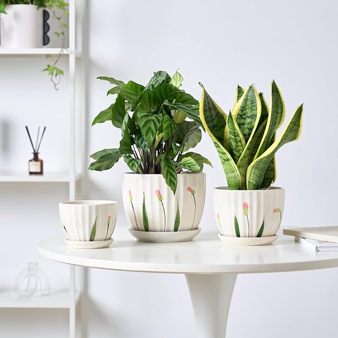 4/5/6 Inches Ceramic Plant Pots with Drainage Holes and Saucers, Round Flower Pots for Indoor Plant, Small Flower Planters Set of 3 (White Floral-Big Size)