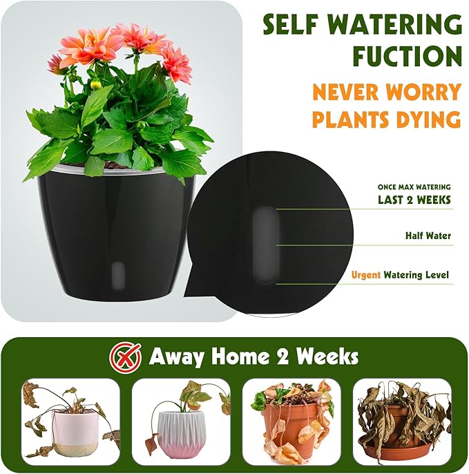 Self Watering Pots for Indoor Plants, 6-Pack 5'' Self Watering Planter with Drainage Holes, Small African Violet Pots with Water Indicator, Clear Wick Orchid Pot, Black