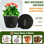 Self Watering Pots for Indoor Plants, 12-Pack 5'' Self Watering Planter with Drainage Holes, Small African Violet Pots with Water Level Indicator, Clear Wick Pot, Black