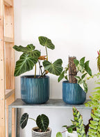 LE TAUCI Fluted Ceramic Planters Set of 3 – 8.3/7 / 5.7 in Ocean Blue Reactive Cylinder Indoor Plant Pots with Drainage Plug & Mesh, Glossy Stoneware Flower Pots for Succulents Herbs