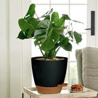 '- Uneed Plastic Flower Pot,5-Pack Plant Pots with Drainage 7/6.5/6/5.5/5 Inch,Self Watering Pots for Indoor Plants,Planters for Indoor Outdoor Plants (Black)