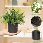 3 Pack Small Fake Plants for Shelf Decor Accents with Ceramic Pot Artificial Potted Plants for Rustic Farmhouse Decor Faux Plants Indoor Fake Potted Plants Artificial for Home Office Bookshelf Decor