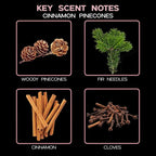 LOVSPA Reed Diffuser Set, Cinnamon Pine Cones Scented Oil Diffuser with Sticks, Home Fragrance Accessories for Bathroom Shelf Decor, Aroma Diffusers for Home or Office Desk, USA Made