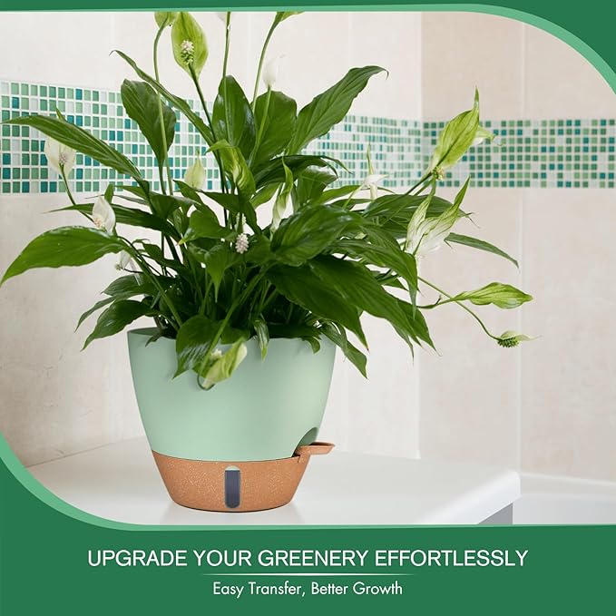 montresor 2 Pack 10 inch Plant Pots, PP Plastic Self Watering Planter with Drainage and Tray for Indoor Outdoor Plants, Water Level Window & Reservoir Flower Pots Decorative Planter (Green)