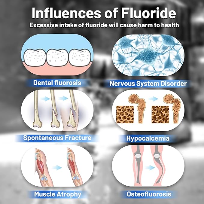 Purewell FL-2 White 5-Stage Fluoride Purification Elements, Replacement for Berkey® PF-2® Fluoride Filters, Berkey® Gravity Filtration System and Purewell System (2 Pack, K Series)