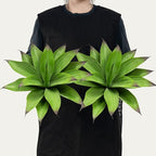 Fake Plants Artificial Agave Plants,Large UV Resistant Fake Agave Planters for Indoor and Outdoor Decorating Tropical Plant Succulents Greenery Indoor Decor13.8 (2Pack, Dark Green)