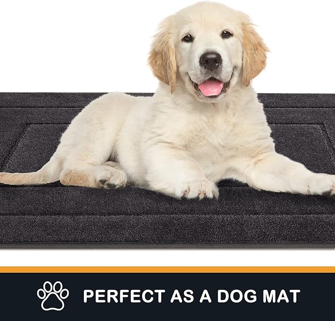 PURRUGS Dirt Trapping Door Mat 32" x 70", Non-Slip/Skid Machine Washable Entryway Rug, Dog Doormat, Super Absorbent Welcome Mat for Muddy Wet Shoes and Paws, Charcoal