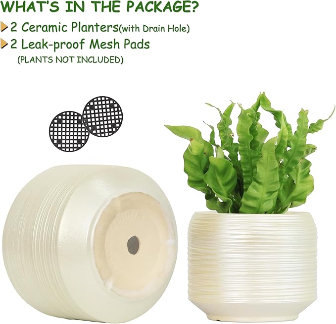 8 Inch + 6 Inch Ceramic Plant Pots Indoor with Drainage – Flower Pot Set, Decorative Indoor Planters for House Plants and Garden Use