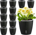 Self Watering Pots for Indoor Plants, 12-Pack 5'' Self Watering Planter with Drainage Holes, Small African Violet Pots with Water Level Indicator, Clear Wick Pot, Black