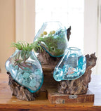 Hand Blown Molten Glass & Teak Wood Terrarium/Vase/Fish Bowl - Premium Quality (12" - 14" High)