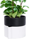 Phoenix Vine 6.5 Inch Self-Watering Planter Pot with Terracotta Insert, Deep Water Reservoir, and Ceramic-Alike BPA-Free Plastic Pot for Plant, Modern Planter for Houseplants, White/Black, 53-B-S-4