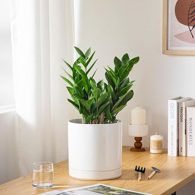 vancasso Ceramic Plant Pots, 8.25 Inch Ceramic Pot for Plants, Planters Pots for Indoor Plants with Drainage Holes, Flower Pot for Indoor House Plant, White