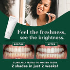 Terra & Co. Brilliant Black Hydroxyapatite Toothpaste for Whitening Teeth – USA-Made - Natural Remineralizing Toothpaste, Fluoride-Free, Vegan, SLS-Free, Low Abrasion – Mint, 3.4 oz