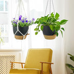 10 inch Self Watering Hanging Planters, 2 Pack Hanging Flower Pots for Indoor Outdoor Plants, Hanging Baskets with Drainage Holes & 2 Kinds of Plant Hangers for Garden Home Decor, Black Brown