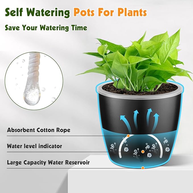 Self Watering Pots for Indoor Plants, 12-Pack 5'' Self Watering Planter with Drainage Holes, Small African Violet Pots with Water Level Indicator, Clear Wick Pot, Black