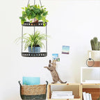 Plant Hanger Indoor Outdoor, 2 Tier Hanging Planter Plant Shelf, Metal Hanging Plants Holder for Indoor Outdoor Plants