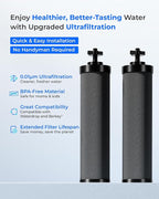 [New Upgraded Ultrafiltration] Waterdrop Black Water Filter, Replacement for Berkey® BB9-2® Black Purification Elements, Berkey® Gravity Water Filter System, 2 Pack