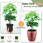 Self Watering Pots for Indoor Plants, 6-Pack 5'' Self Watering Planter with Drainage Holes, Small African Violet Pots with Water Indicator, Clear Wick Orchid Pot, Rose Gold