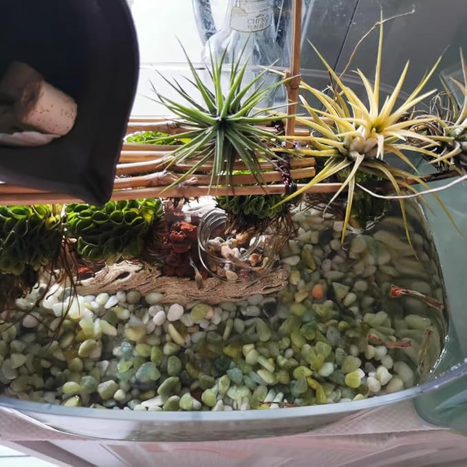 10LB Succulent and Cactus Pebbles, 1/5 Inch Jade Natural Decorative Polished Stones, River Rocks for Plants, Vases and Outdoor Gardening,Green