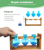 Nacome Plant Terrarium for Office Decor: Birthday Gifts for Plant Lovers Women Mom Wife - Wooden Stand Tabletop Planter 3 Bulb Glass Vase Heart Shaped for Hydroponics Indoor Home