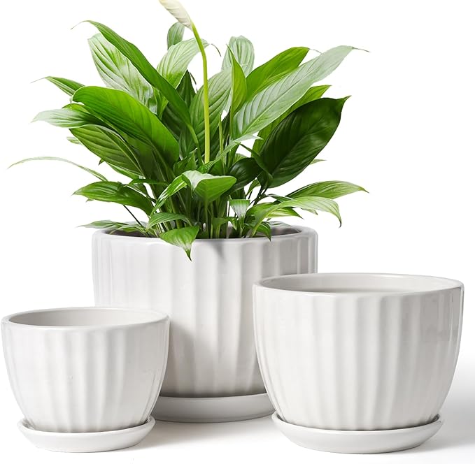4/5/6 Inches Ceramic Plant Pots with Drainage Holes and Saucers, Round Flower Pots for Indoor Plant, Modern Flower Planters Set of 3 (White-Big Size)